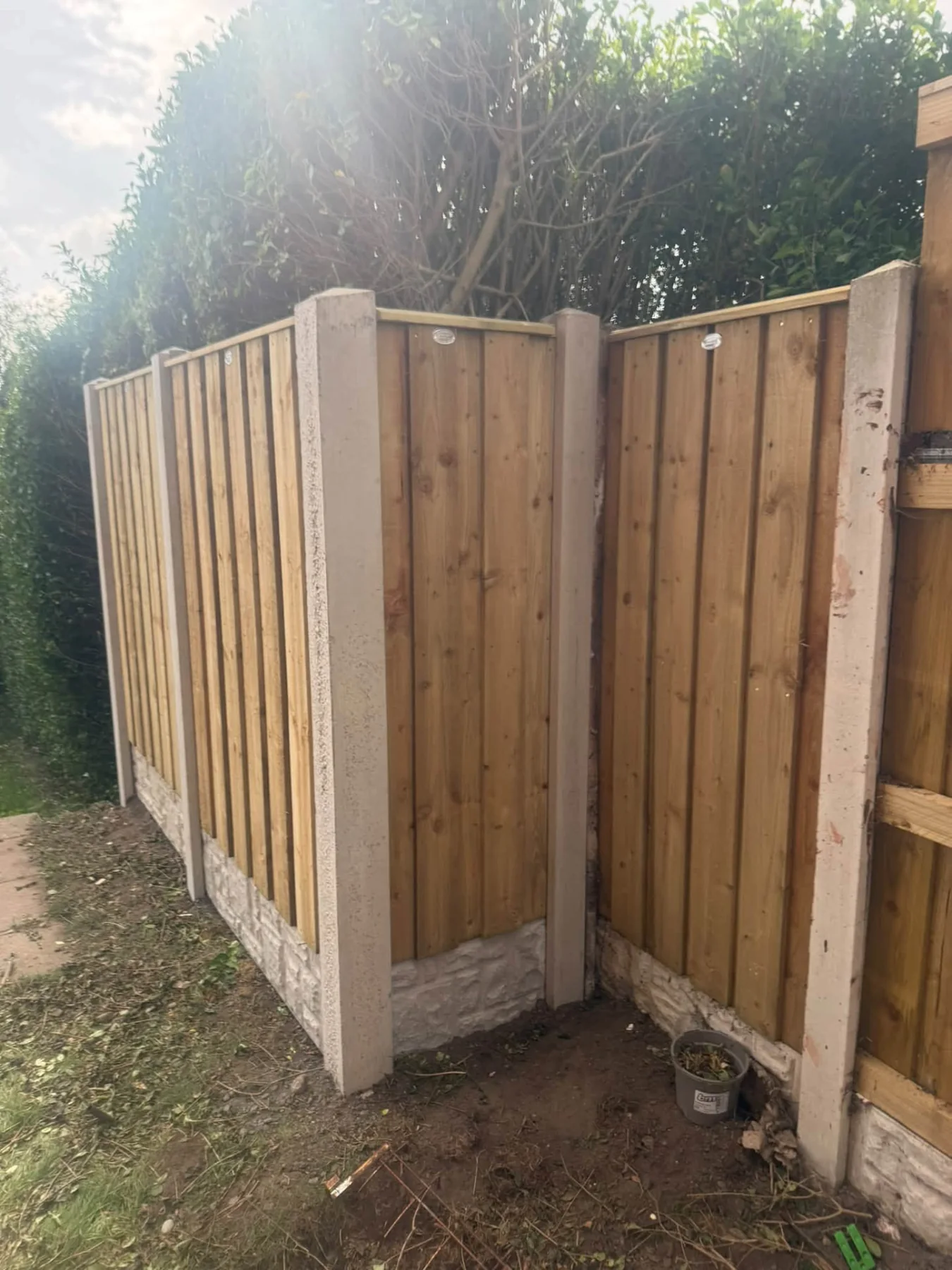 Timber fencing with concrete posts